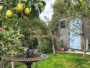 Photo 22- click for photo gallery